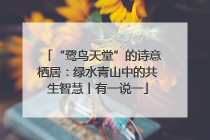 “鹭鸟天堂”的诗意栖居：绿水青山中的共生智慧丨有一说一