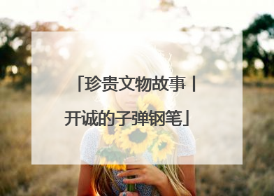 珍贵文物故事丨开诚的子弹钢笔