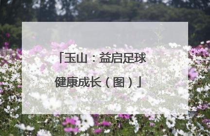玉山：益启足球 健康成长（图）