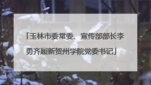 玉林市委常委、宣传部部长李勇齐履新贺州学院党委书记
