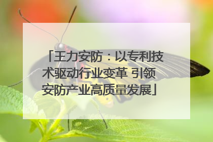 王力安防：以专利技术驱动行业变革 引领安防产业高质量发展