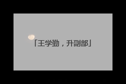 王学勤，升副部