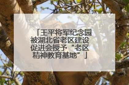 王平将军纪念园被湖北省老区建设促进会授予“老区精神教育基地”