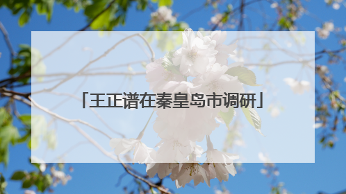 王正谱在秦皇岛市调研