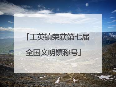 王英镇荣获第七届全国文明镇称号