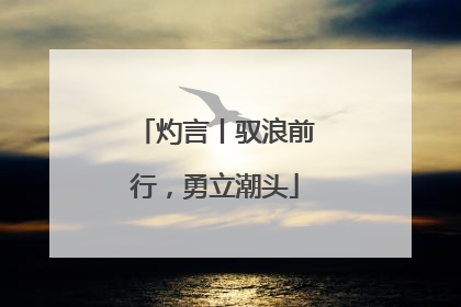 灼言丨驭浪前行，勇立潮头