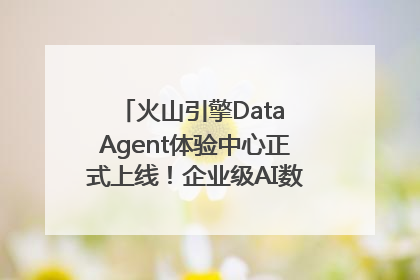 火山引擎Data Agent体验中心正式上线！企业级AI数据专家触手可及