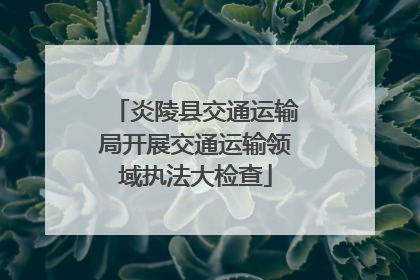 炎陵县交通运输局开展交通运输领域执法大检查