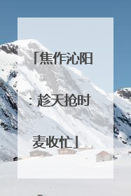 焦作沁阳：趁天抢时麦收忙