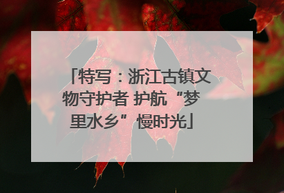 特写：浙江古镇文物守护者 护航“梦里水乡”慢时光