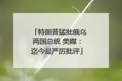 特朗普猛批俄乌两国总统 美媒：迄今最严厉批评