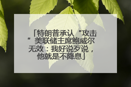 特朗普承认“攻击”美联储主席鲍威尔无效：我好说歹说，他就是不降息