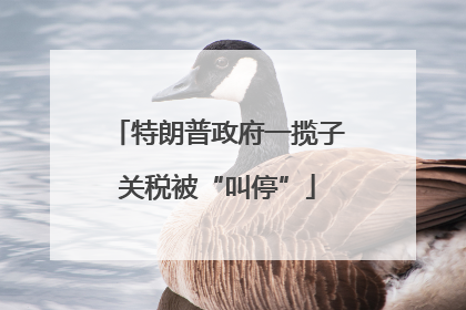 特朗普政府一揽子关税被“叫停”