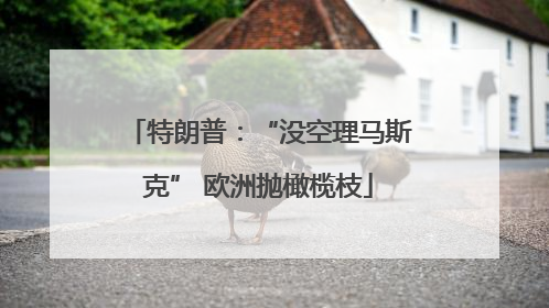 特朗普：“没空理马斯克” 欧洲抛橄榄枝