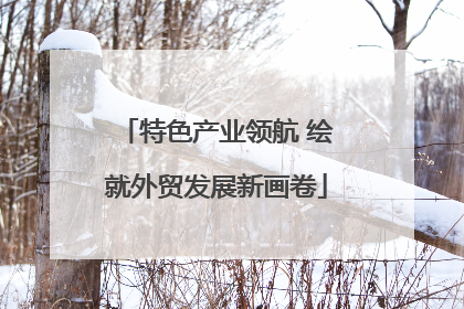 特色产业领航 绘就外贸发展新画卷
