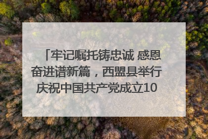 牢记嘱托铸忠诚 感恩奋进谱新篇，西盟县举行庆祝中国共产党成立104周年文艺晚会