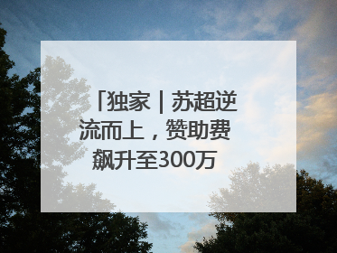 独家｜苏超逆流而上，赞助费飙升至300万，仍一席难求