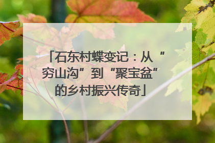 石东村蝶变记：从“穷山沟”到“聚宝盆”的乡村振兴传奇