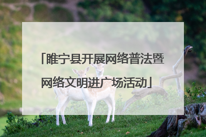 睢宁县开展网络普法暨网络文明进广场活动