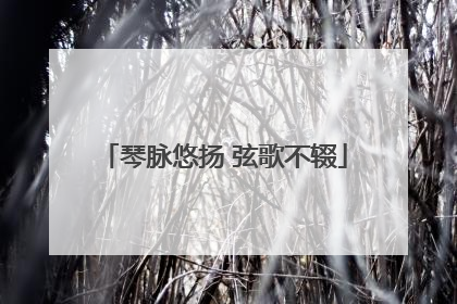 琴脉悠扬 弦歌不辍