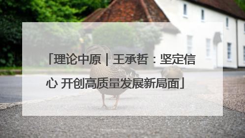 理论中原｜王承哲：坚定信心 开创高质量发展新局面
