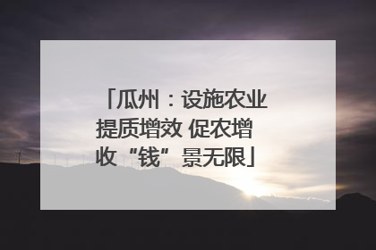 瓜州：设施农业提质增效 促农增收“钱”景无限
