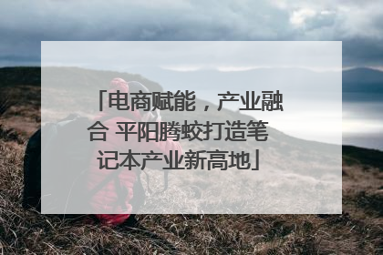 电商赋能，产业融合 平阳腾蛟打造笔记本产业新高地