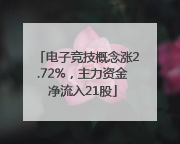电子竞技概念涨2.72%，主力资金净流入21股