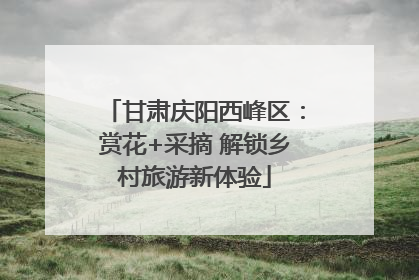 甘肃庆阳西峰区：赏花+采摘 解锁乡村旅游新体验