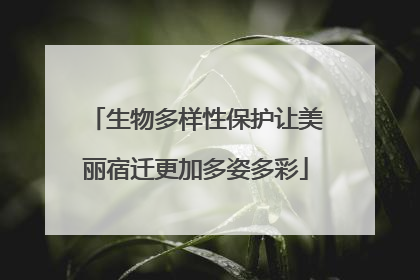 生物多样性保护让美丽宿迁更加多姿多彩