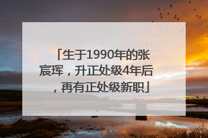 生于1990年的张宸珲，升正处级4年后，再有正处级新职