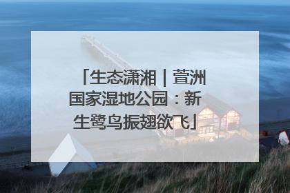 生态潇湘｜萱洲国家湿地公园：新生鹭鸟振翅欲飞