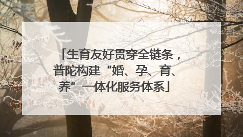 生育友好贯穿全链条，普陀构建“婚、孕、育、养”一体化服务体系