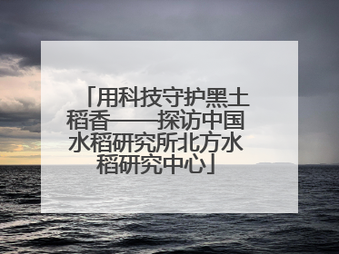 用科技守护黑土稻香——探访中国水稻研究所北方水稻研究中心