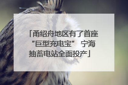 甬绍舟地区有了首座“巨型充电宝” 宁海抽蓄电站全面投产