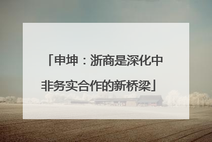申坤：浙商是深化中非务实合作的新桥梁