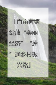 百亩荷塘绽放“美丽经济”“莲”通乡村振兴路