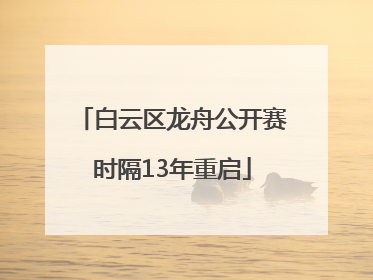白云区龙舟公开赛时隔13年重启