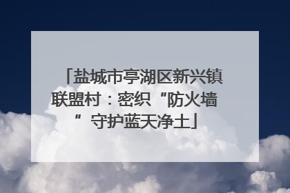 盐城市亭湖区新兴镇联盟村：密织“防火墙”守护蓝天净土