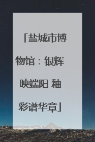 盐城市博物馆：银辉映端阳 釉彩谱华章