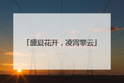 盛夏花开，凌霄攀云