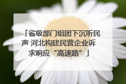 省级部门组团下沉听民声 河北构建民营企业诉求响应“高速路”