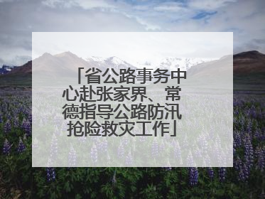 省公路事务中心赴张家界、常德指导公路防汛抢险救灾工作