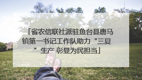 省农信联社派驻鱼台县唐马镇第一书记工作队助力“三夏”生产 彰显为民担当