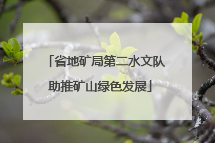 省地矿局第二水文队助推矿山绿色发展