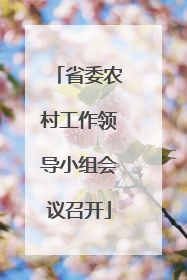 省委农村工作领导小组会议召开