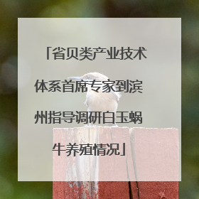 省贝类产业技术体系首席专家到滨州指导调研白玉蜗牛养殖情况