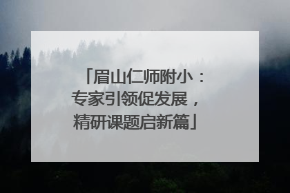 眉山仁师附小：专家引领促发展，精研课题启新篇