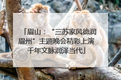 眉山：“三苏家风德润眉州”主题晚会精彩上演千年文脉润泽当代