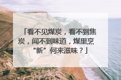 看不见煤炭，看不到焦炭，闻不到味道，煤里烹“新”何来滋味？